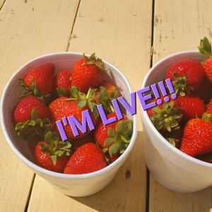 Live 2/2 Nails Show 💅💋 Come And Say Hola! 💙😘